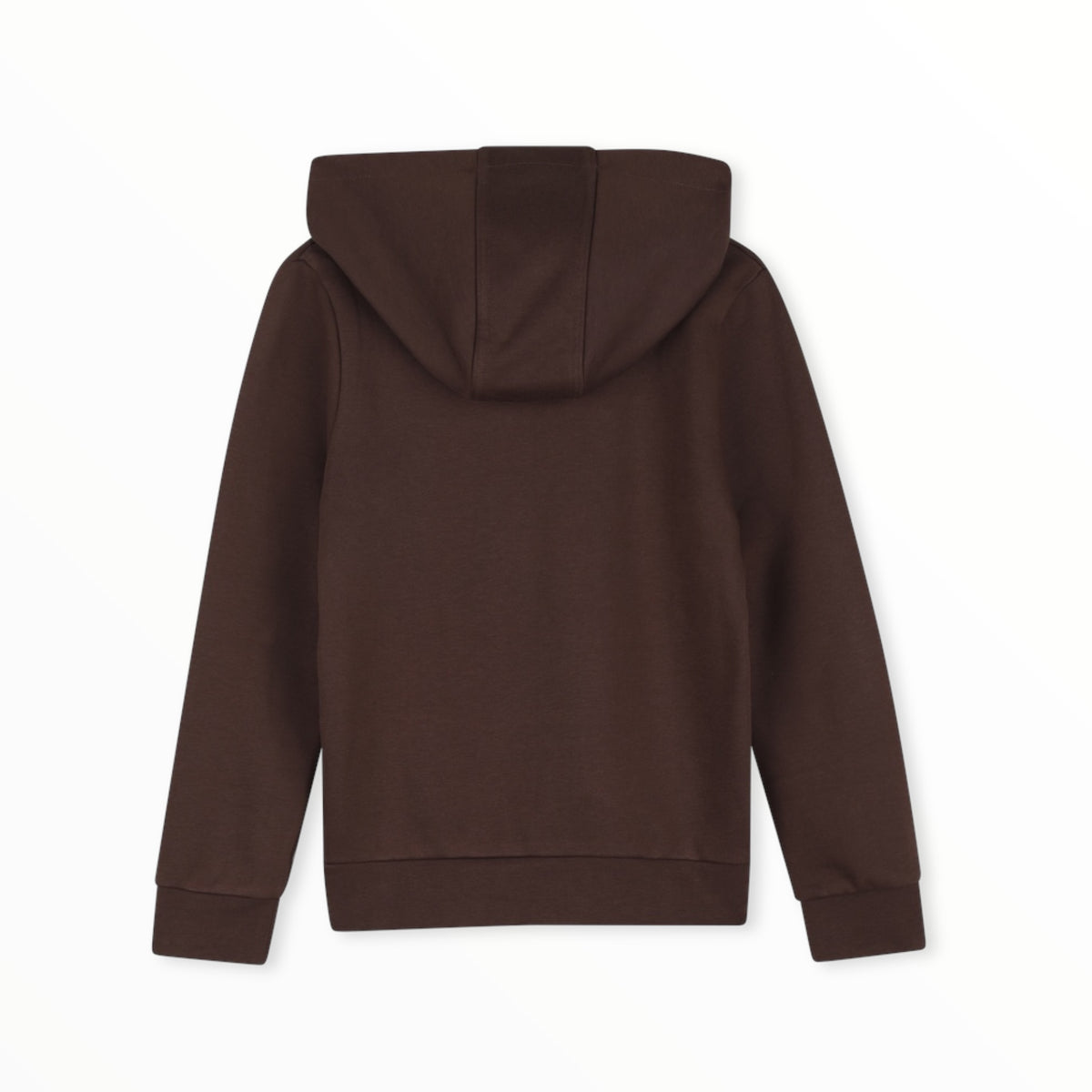 Felpa Boss marrone con cappuccio