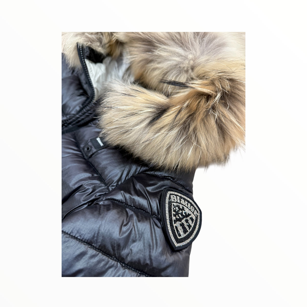 Giubbotto Blauer Ivory nero