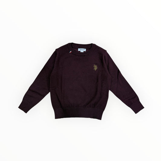 Maglione Us Polo prugna